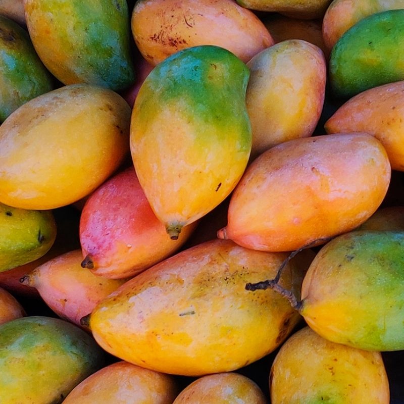 mangoes-in-the-market-2021-12-30-12-38-54-utc